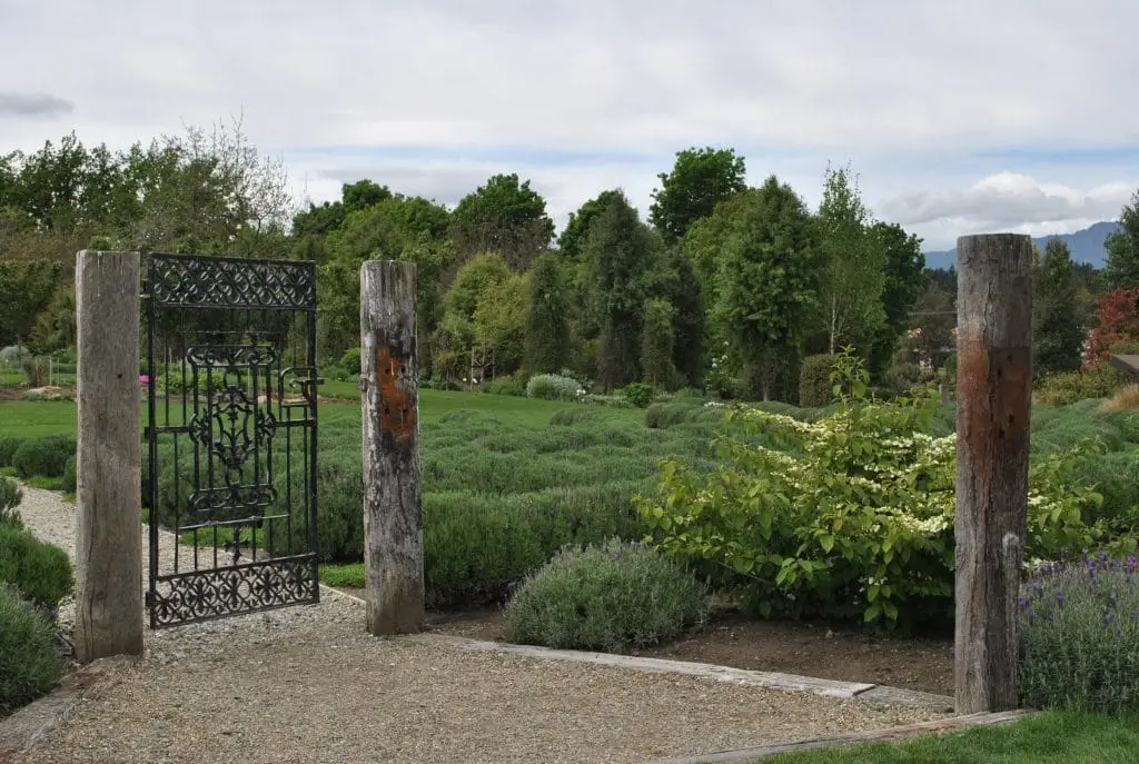 gate interlink garden landscaping nov18 1024x687 1